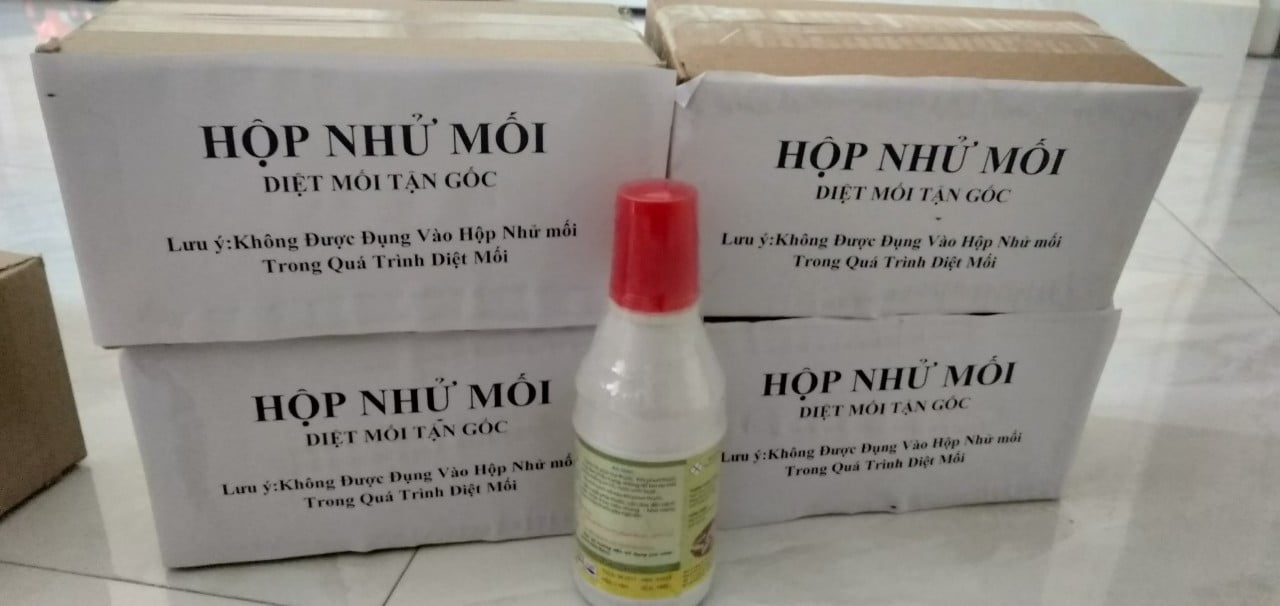 Quy trình diệt mối tận gốc tại Hoàn Kiếm