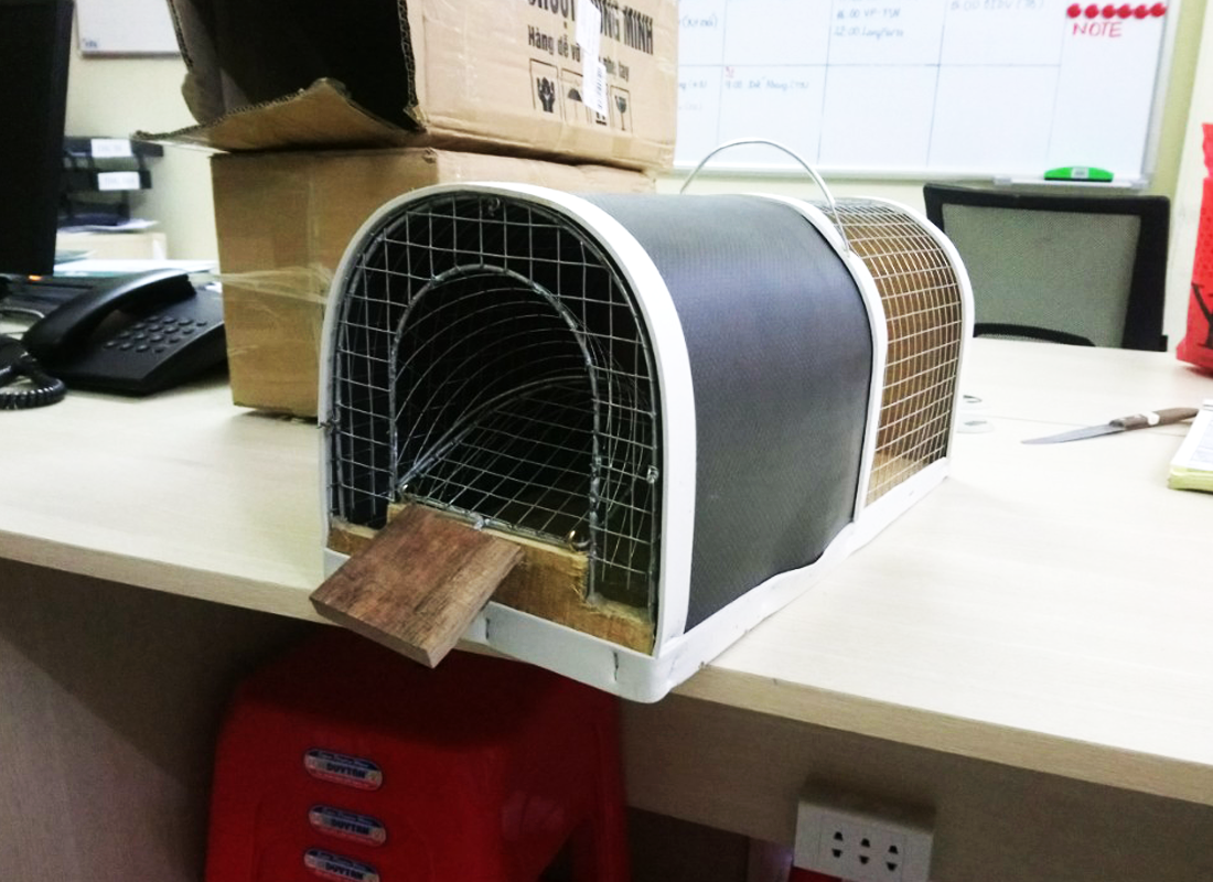 Dịch vụ diệt chuột tận nơi tại Hòa Bình có bảo hành