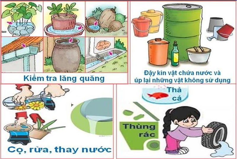 Hướng dẫn các biện pháp phòng muỗi hiệu quả