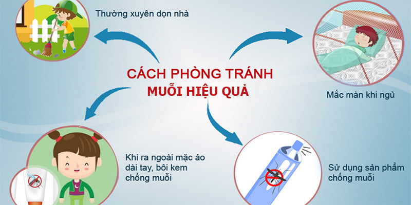 Một số phương pháp phòng ngừa muỗi hiệu quả