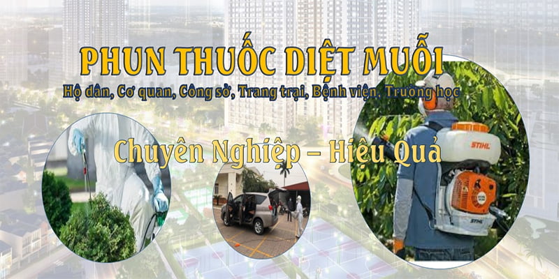 dịch vụ diệt muỗi 0856 489 555