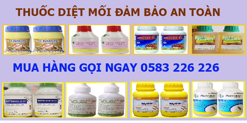 Hoá chất sử dụng diệt mối tại huyện Thuỷ Nguyên, Hải Phòng