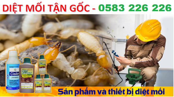Công ty diệt mối tận gốc ở Bắc Ninh