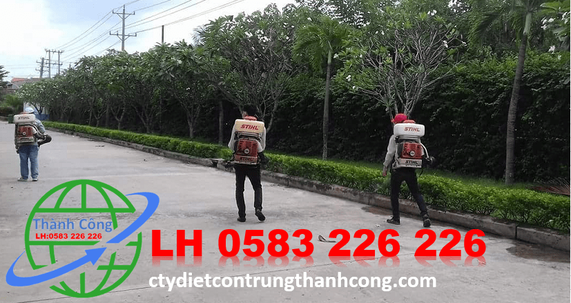 Diệt Muỗi Tại Nhà Giá Rẻ Tại Quận Đống Đa