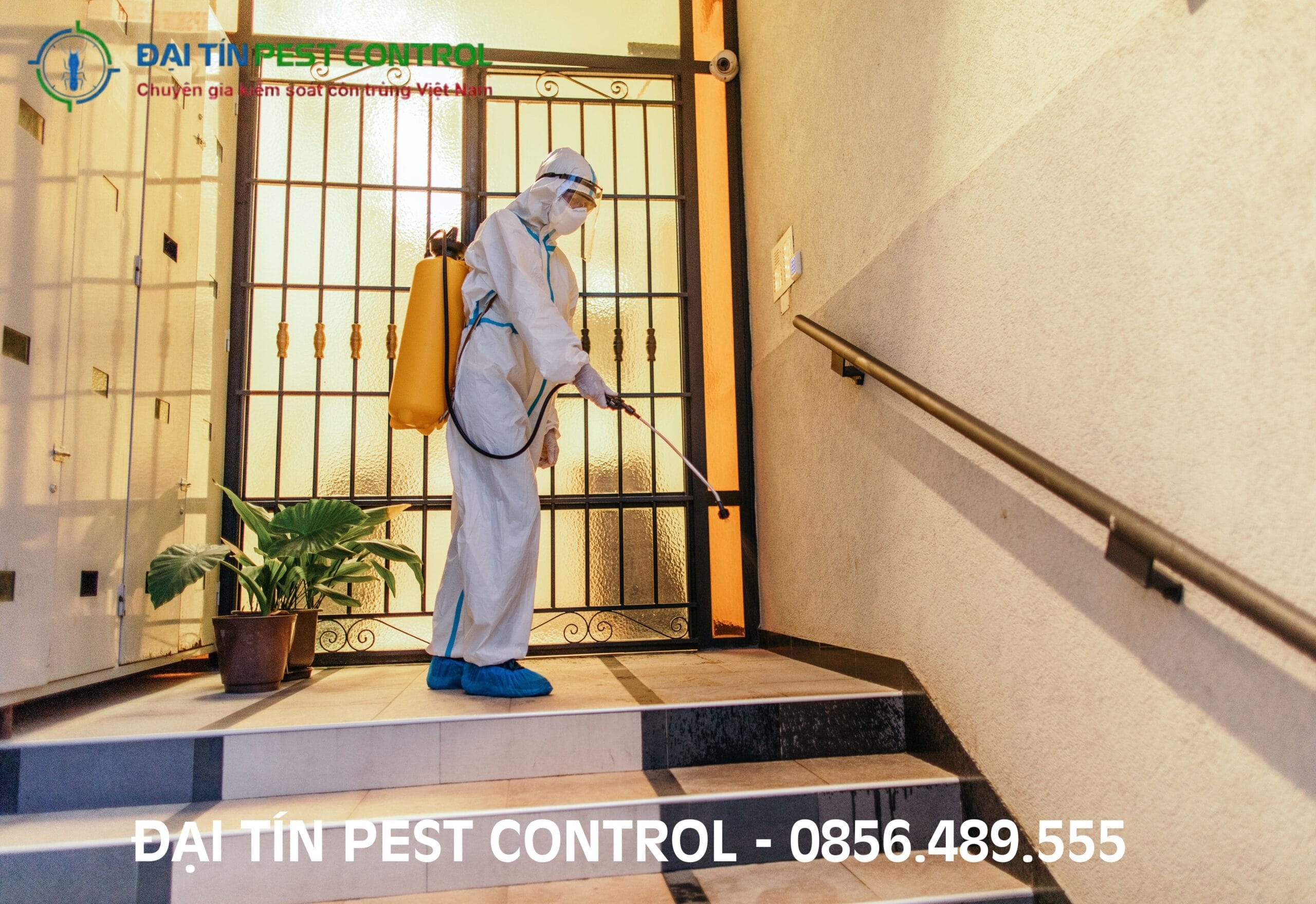 Đội ngũ kỹ thuật viên phun sát trùng chuyên nghiệp tại Đại Tín với trang bị bảo hộ đầy đủ