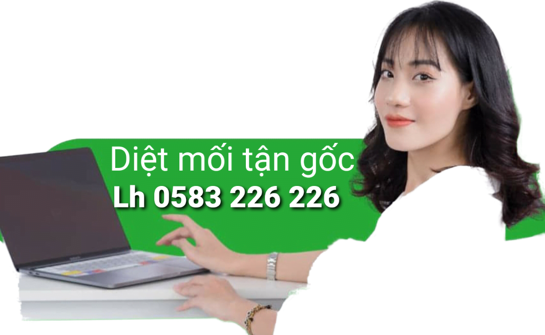 Dịch Vụ Diệt Mối Giá Rẻ Tại Bắc Ninh