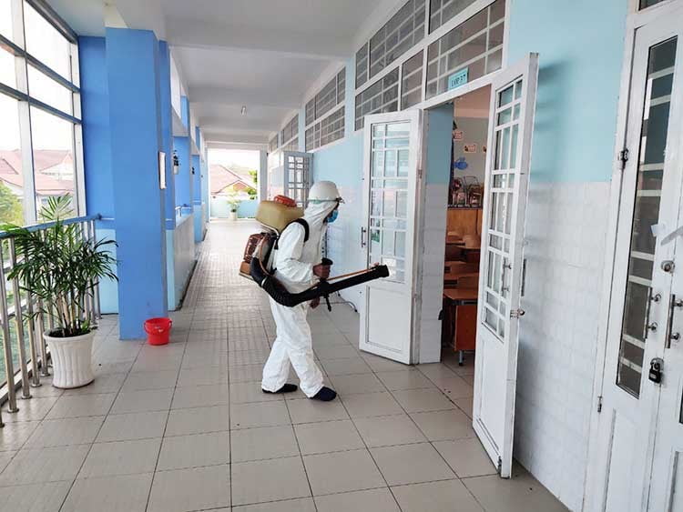 Công ty diệt côn trùng uy tín tại Vĩnh Phúc - Đại Tín Pest Control