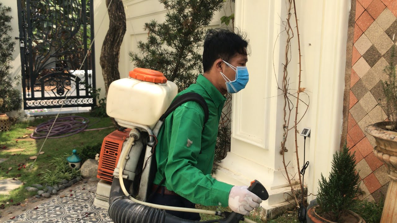 Dịch vụ phun diệt muỗi tại Thành phố Lào Cai