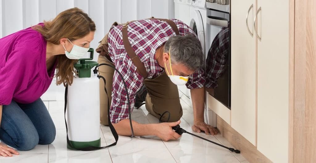 Dấu hiệu nhận biết có mối gây hại