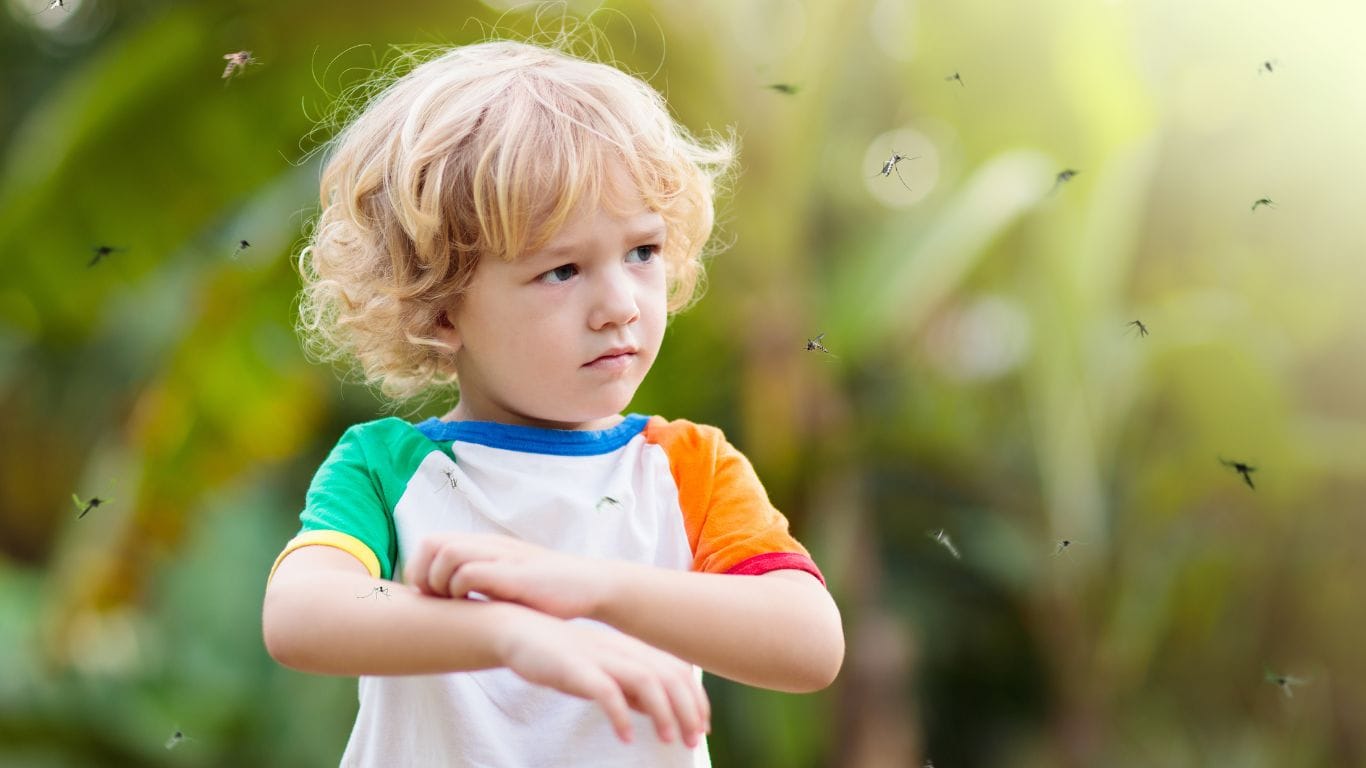 Muỗi gây ra nhiều bệnh nguy hiểm, cần diệt để bảo vệ sức khỏe gia đình