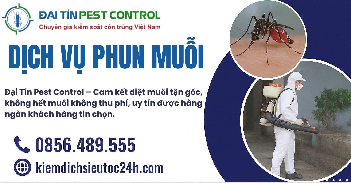 Dịch vụ phun thuốc diệt muỗi