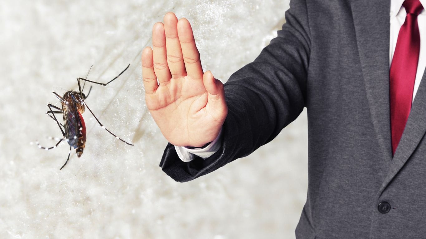 Muỗi là côn trùng gây nhiều bệnh truyền nhiễm cho con người cần phải tiêu diệt