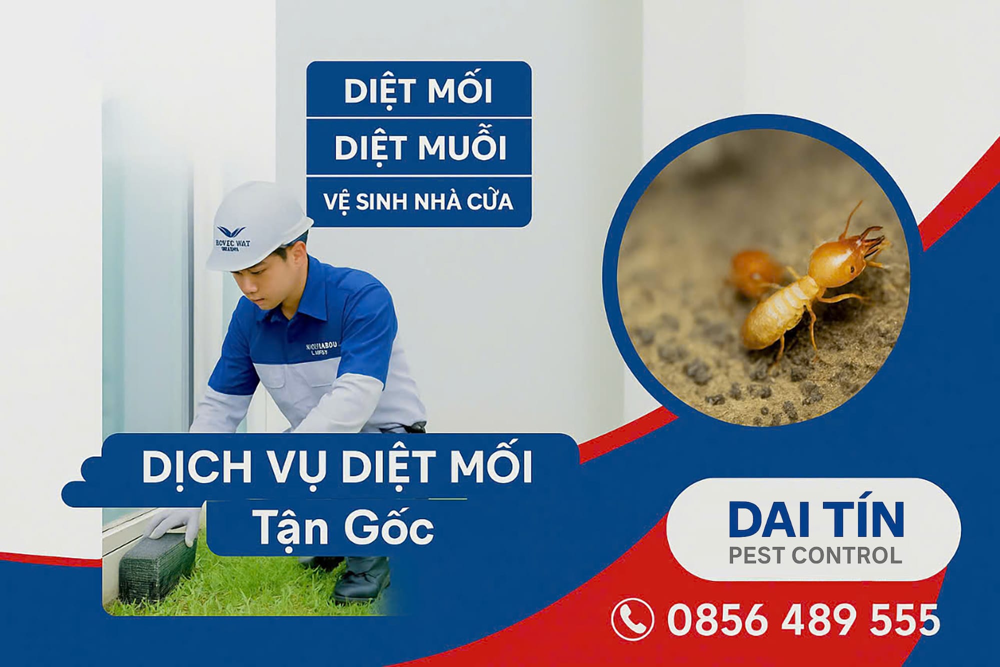 Diệt sạch mối tận tổ – Chỉ có tại dịch vụ diệt mối Bình Thuận của Đại Tín!
