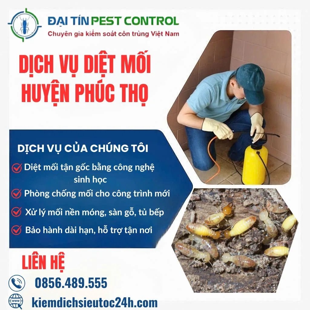 Dịch vụ diệt mối tại Phúc Thọ – Xử lý tận gốc, an toàn từng chi tiết.