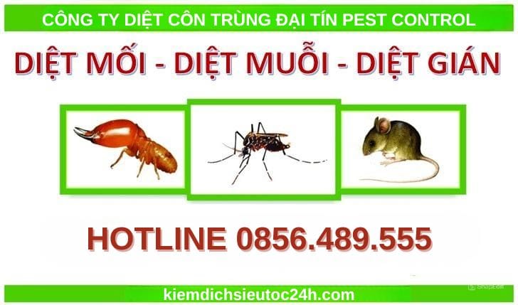 Giới thiệu dịch vụ diệt côn trùng tại Hà Đông