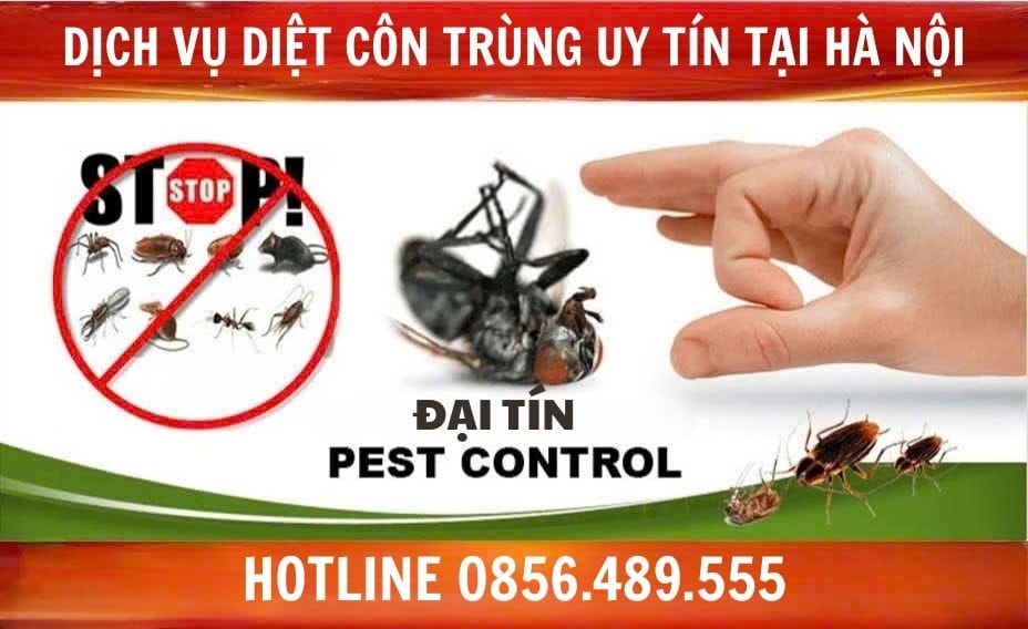 Đại Tín Pest Control - Cam kết diệt côn trùng hiệu quả, uy tín cho khách hàng