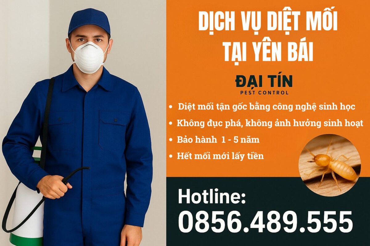 Dịch vụ diệt mối tại Yên Bái – An toàn, nhanh gọn, bảo hành đến 5 năm.