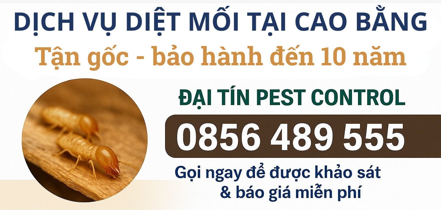 Dịch vụ diệt mối tại Cao Bằng giá tốt – Gọi là có mặt trong 30 phút