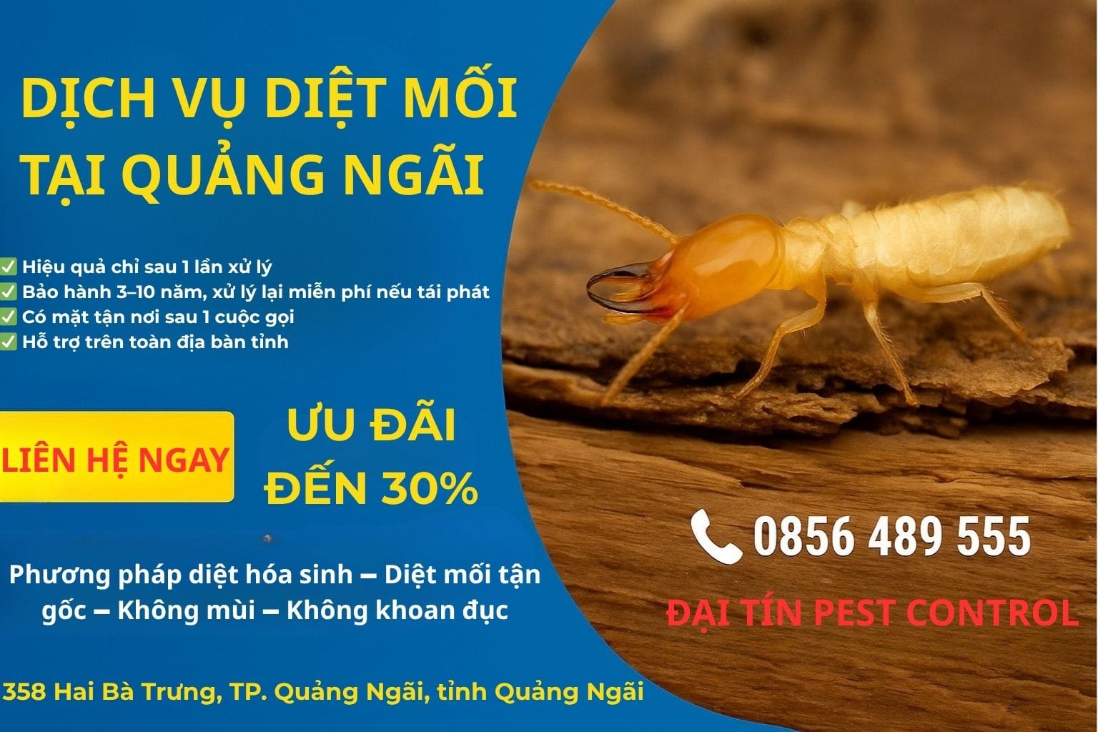 Dịch vụ diệt mối tại Quảng Ngãi chuyên nghiệp