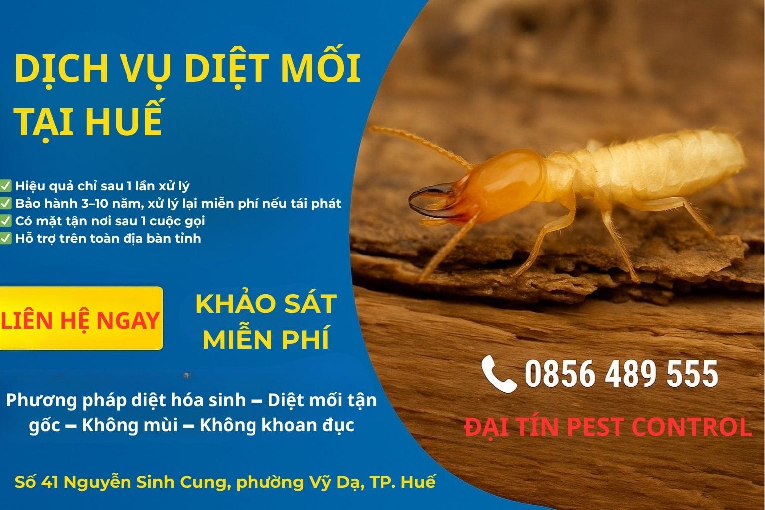 Diệt mối tận gốc tại Huế