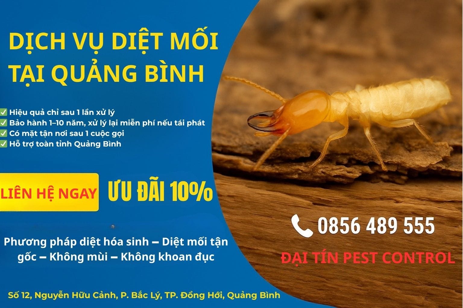 Dịch vụ diệt mối tại Quảng Bình
