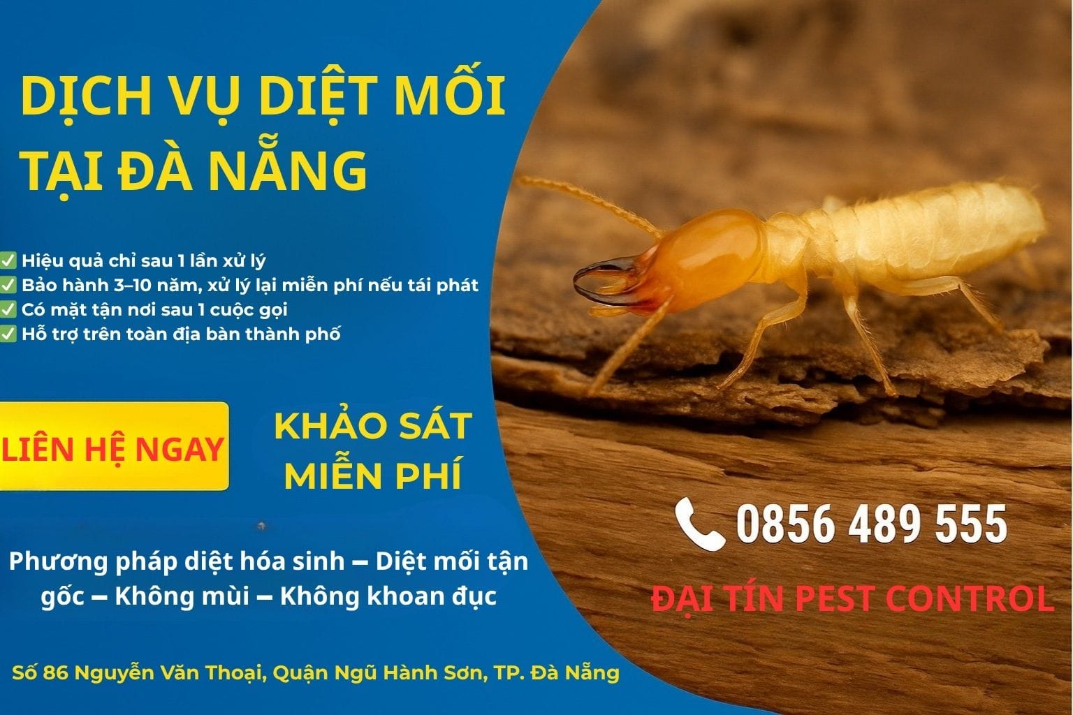 Dịch vụ diệt mối tại Đà Nẵng