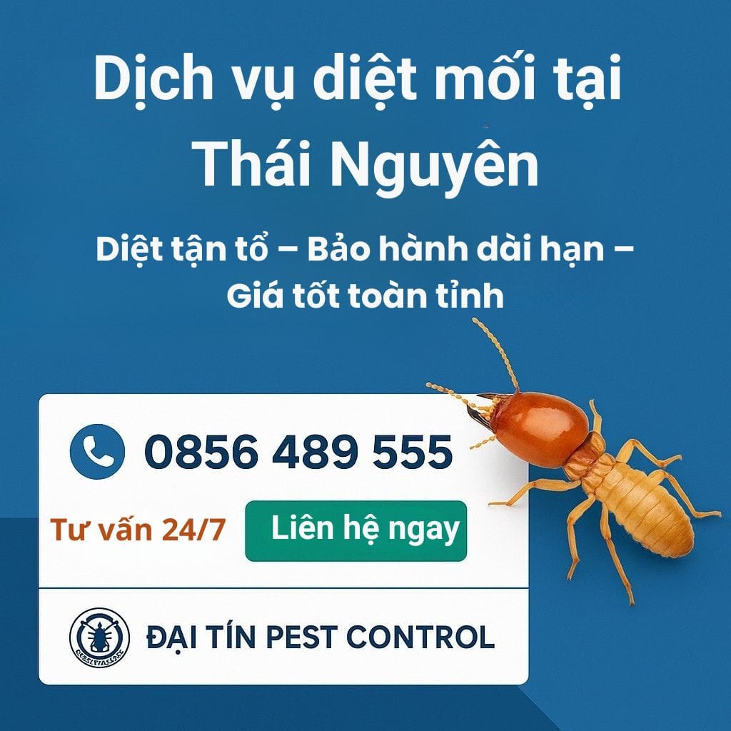 Đại Tín Pest Control – Dịch vụ diệt mối tận gốc tại Thái Nguyên