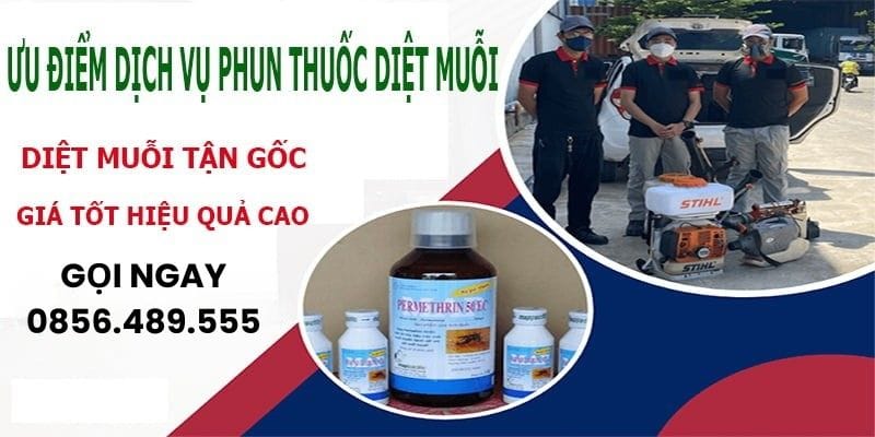 Diệt muỗi tận gốc với thuốc phun muỗi chất lượng