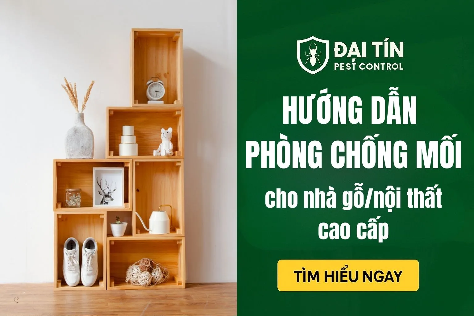Hướng dẫn phòng chống mối cho nhà gỗ/nội thất cao cấp