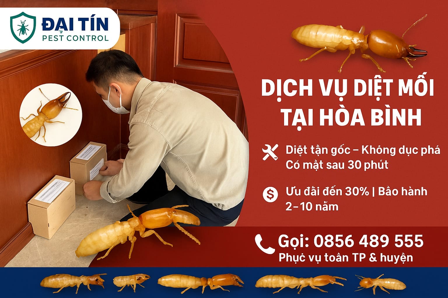 Cam kết & bảo hành dịch vụ diệt mối tại Hòa Bình từ Đại Tín