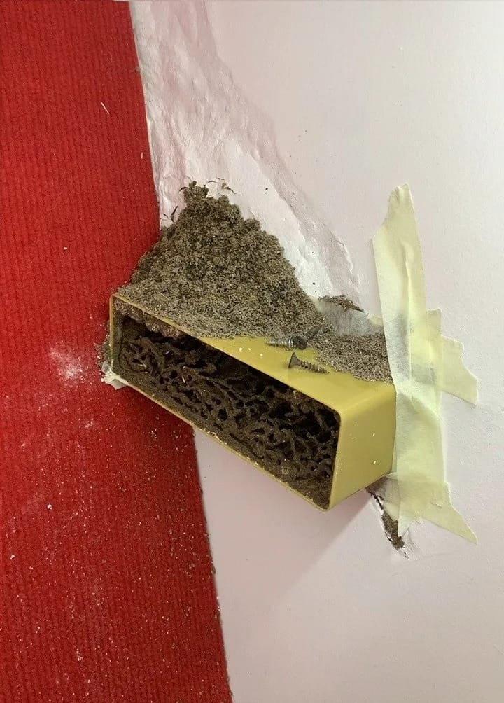 Hộp nhử mối được đặt để thu hút mối