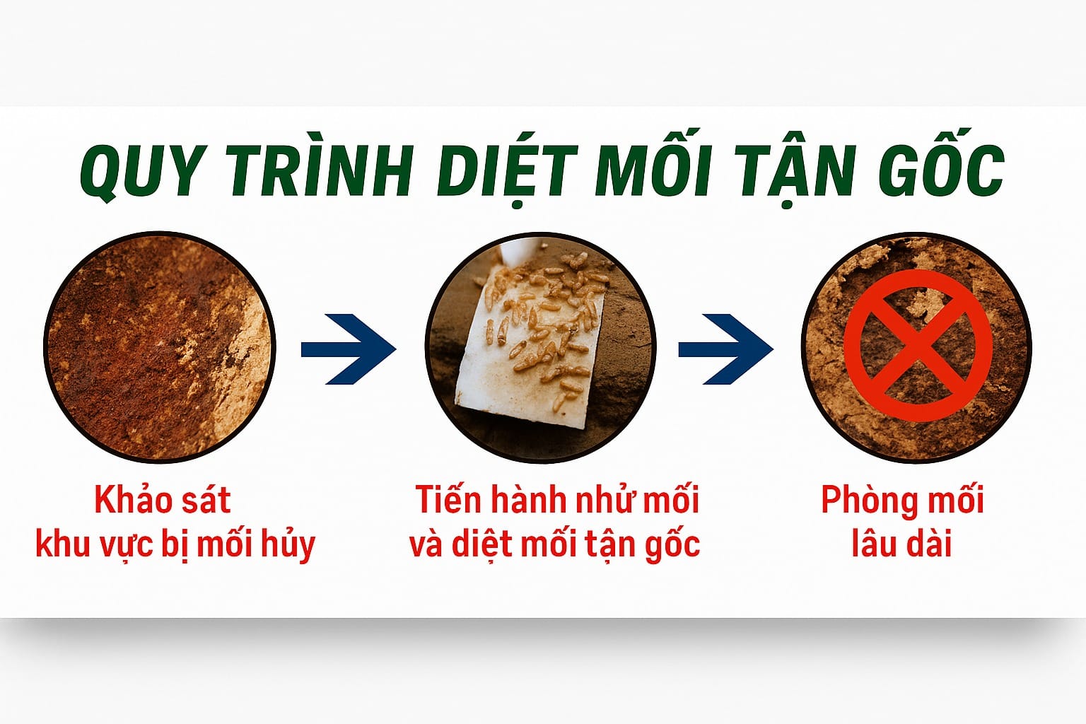 Quy trình dịch vụ diệt mối tại Yên Bai