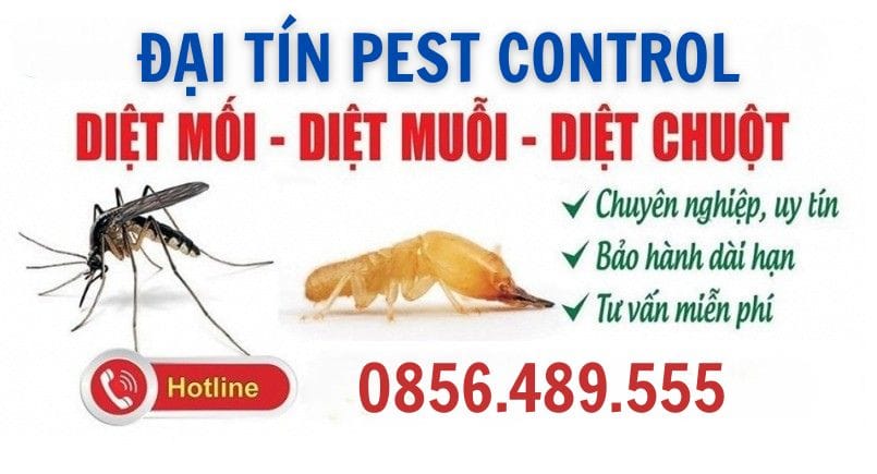 Giới thiệu dịch vụ diệt côn trùng tại Hà Nội