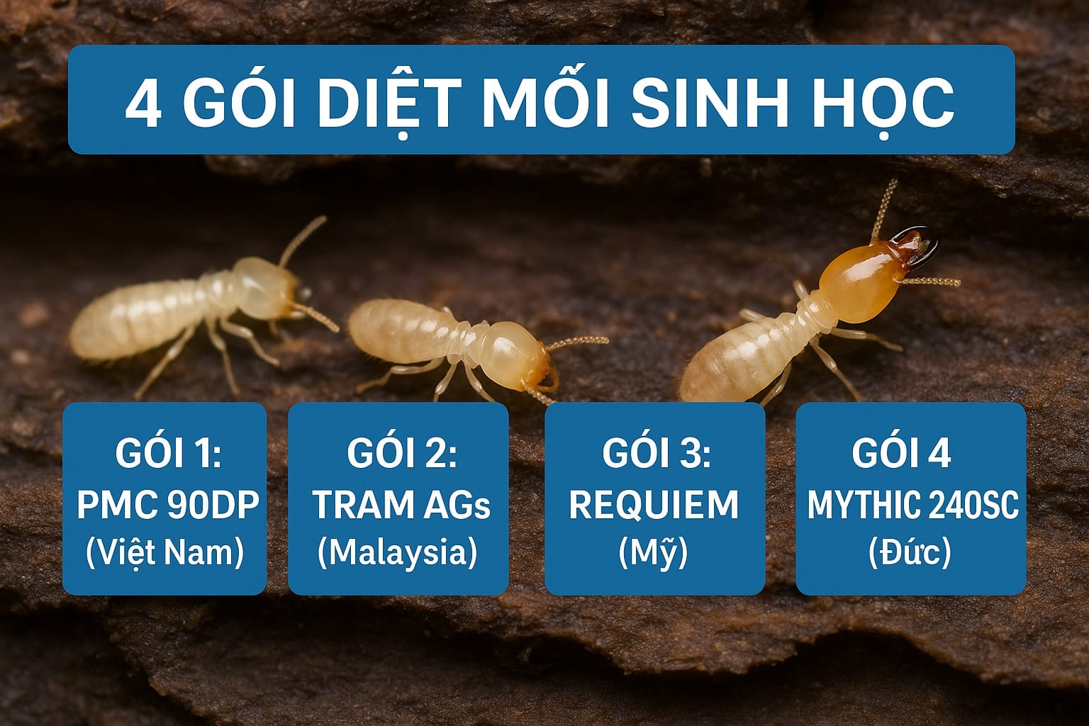 Gói diệt mối sinh học mang lại hiệu quả cao trong diệt mối