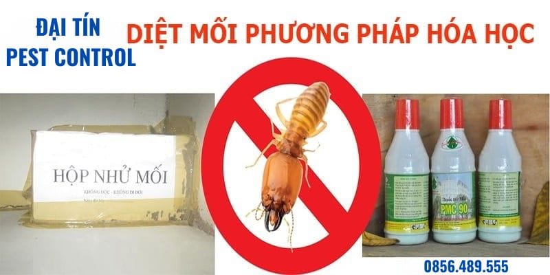 Phương pháp diệt mối tại Đan Phượng