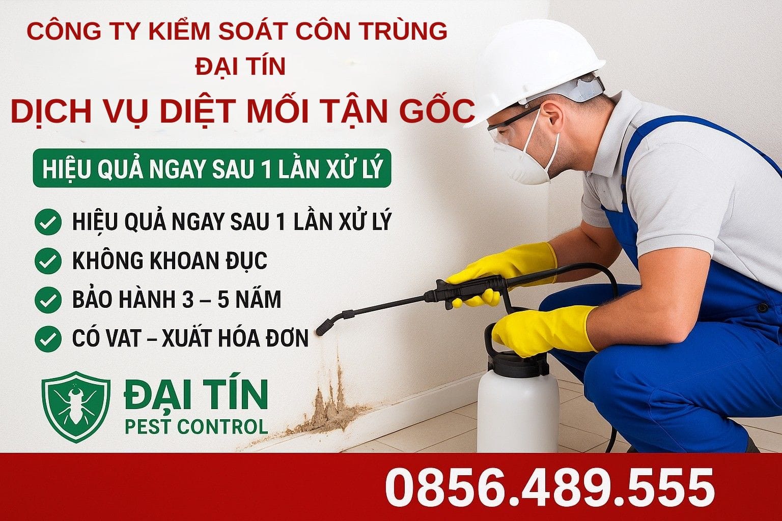 Đại Tín – Dịch vụ diệt mối tại Quảng Trị uy tín, sạch mối triệt để, không tái phát.