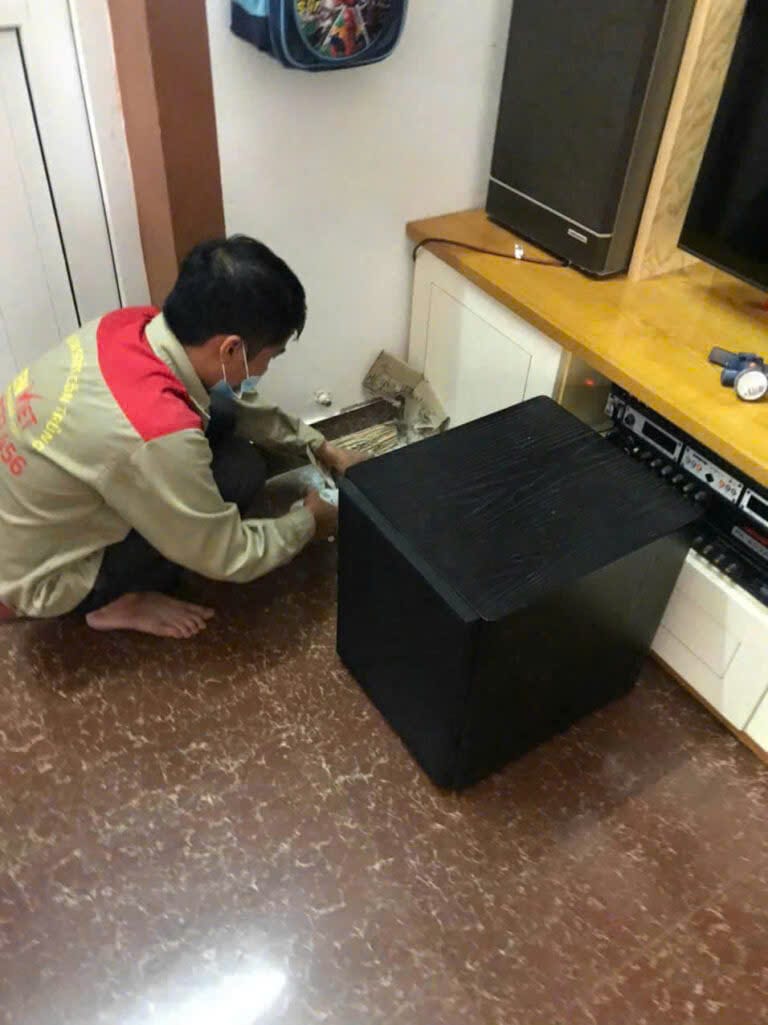 Những dịch vụ diệt côn trùng tại Ba Đình Đại Tín cung cấp