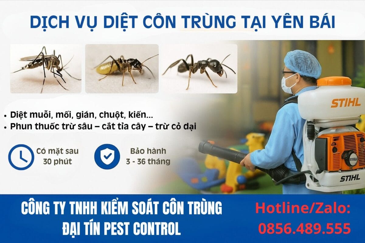 Dịch vụ diệt côn trùng tại Yên Bái