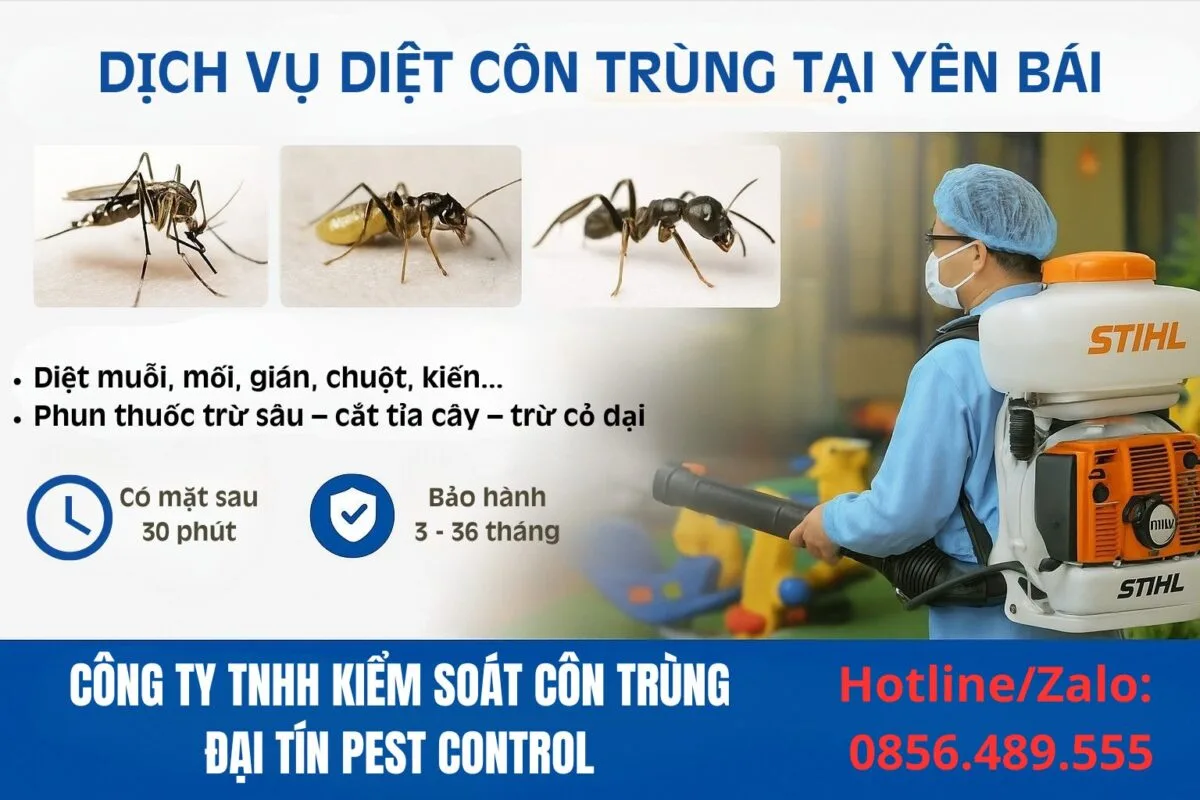 Dịch vụ diệt côn trùng tại Yên Bái