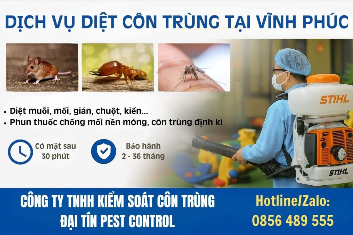 Dịch vụ diệt côn trùng tại Vĩnh Phúc giá rẻ