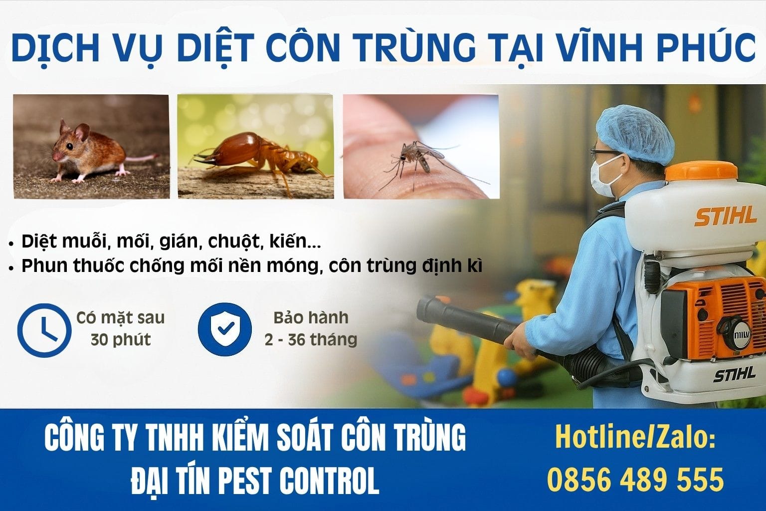 Dịch vụ diệt côn trùng tại Vĩnh Phúc giá rẻ