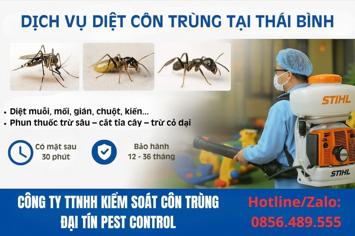 Dịch vụ diệt côn trùng tại Thái Bình