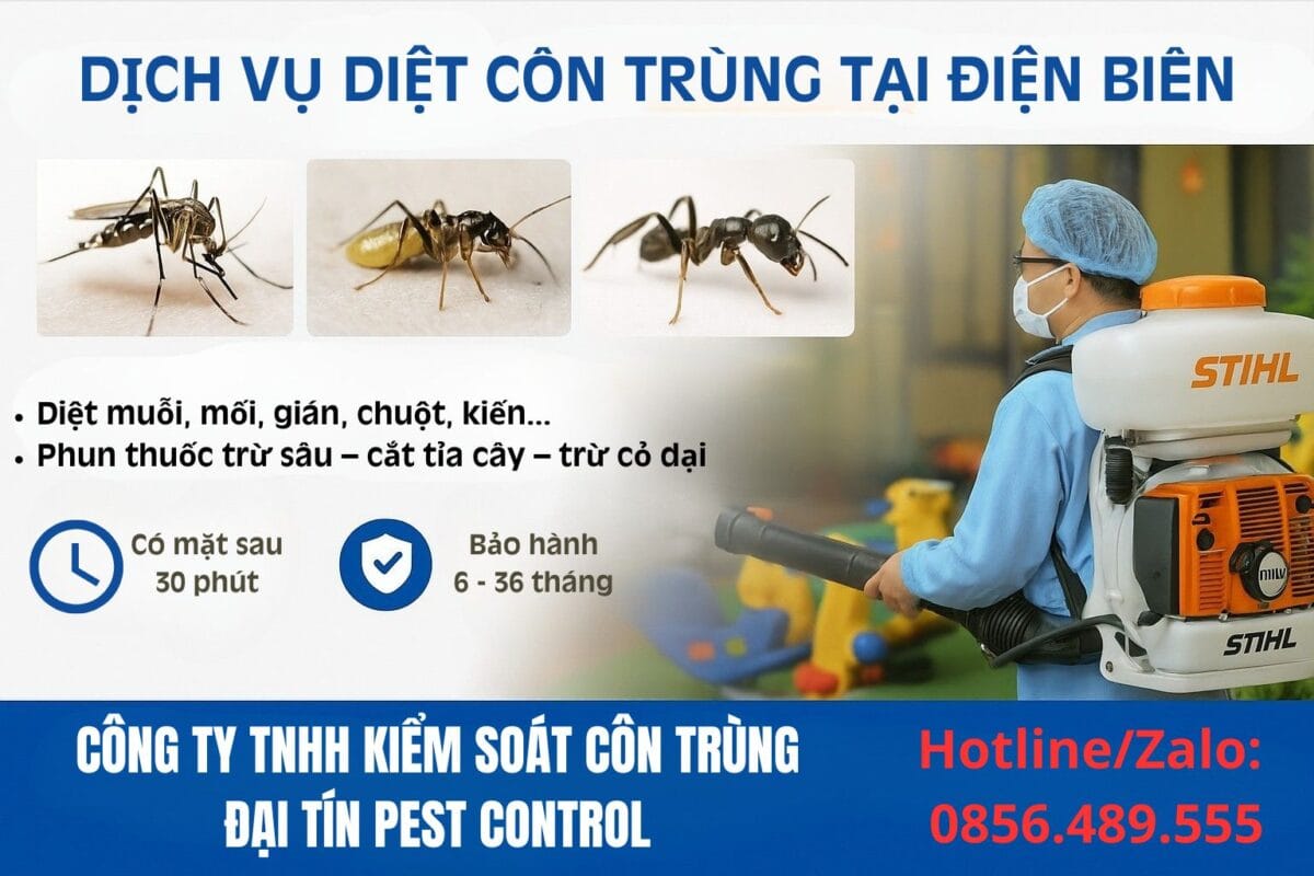 Dịch vụ diệt côn trùng tại Điện Biên