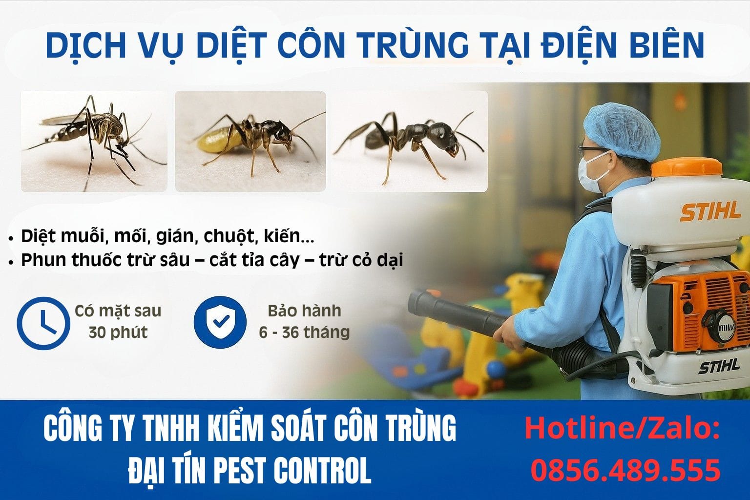 Dịch vụ diệt côn trùng tại Điện Biên