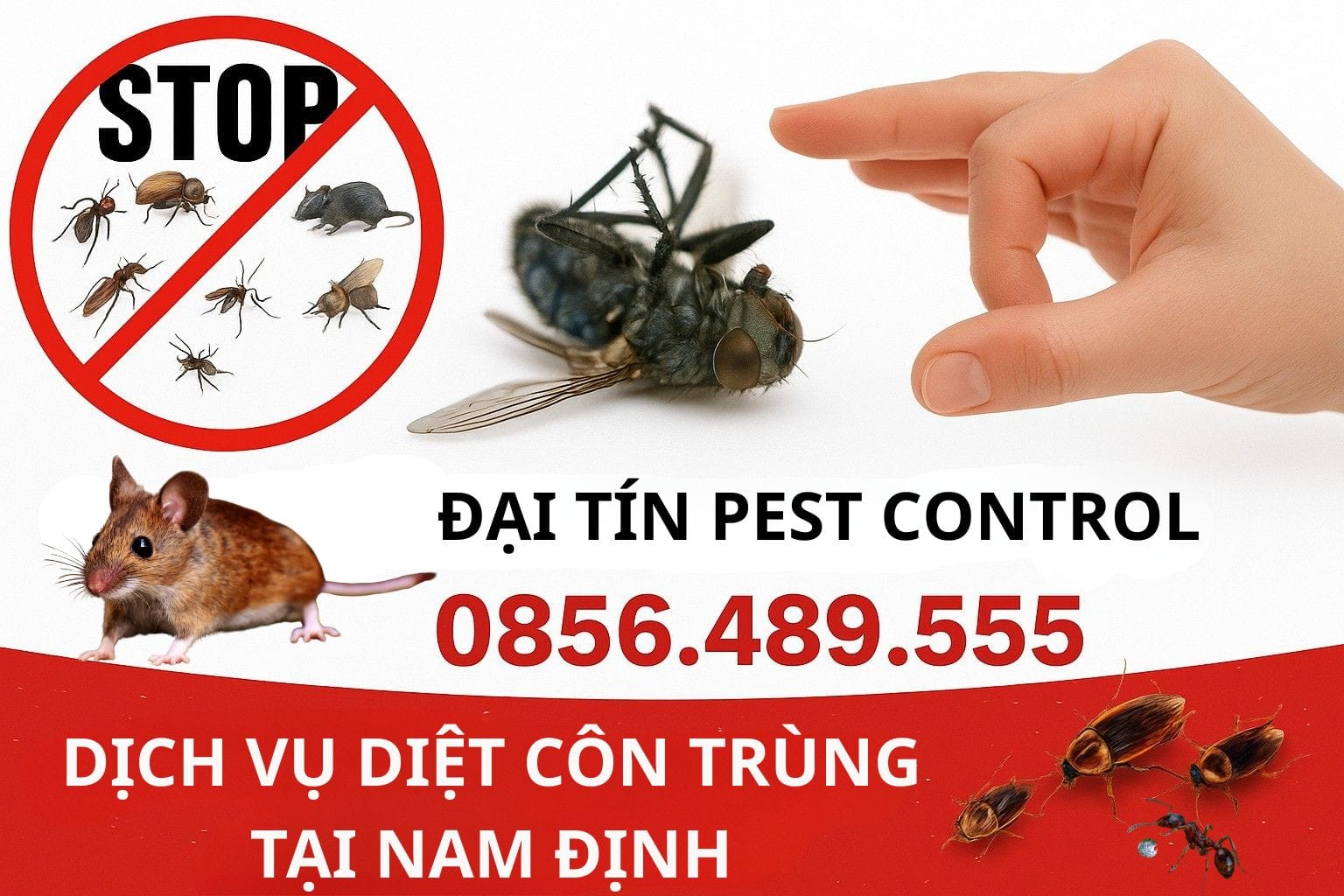 Dịch vụ diệt côn trùng tại Nam Định an toàn, có mặt sau 30 phút
