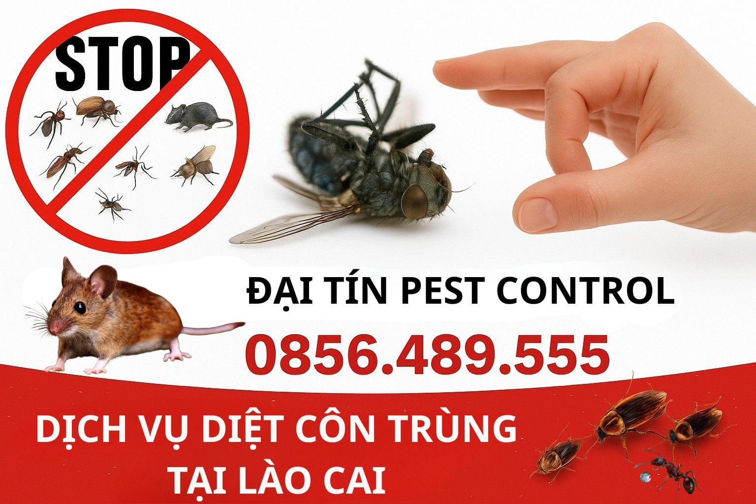 Dịch vụ diệt côn trùng tại Lào Cai giá rẻ – Chất lượng dẫn đầu