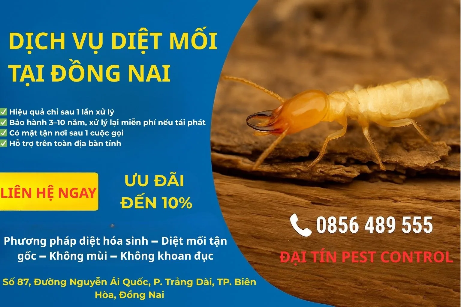 Dịch vụ diệt mối tại Đồng Nai