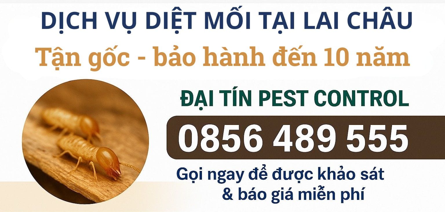Dịch vụ diệt mối tại nhà, phòng chống mối công trình xây dựng tại Lai Châu