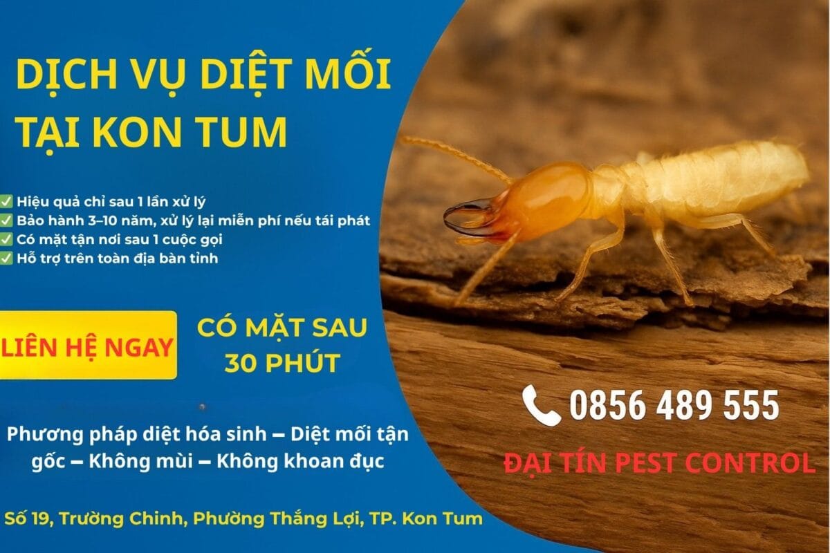 Dịch vụ diệt mối tại Kon Tum
