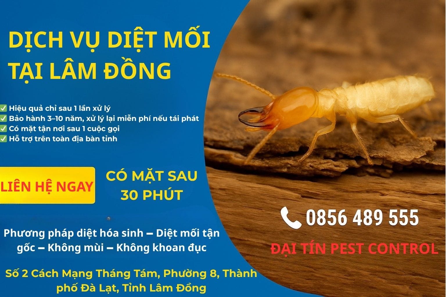 DỊCH VỤ DIỆT MỐI TẠI LÂM ĐỒNG